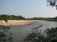 Choctawhatchee River - Florida